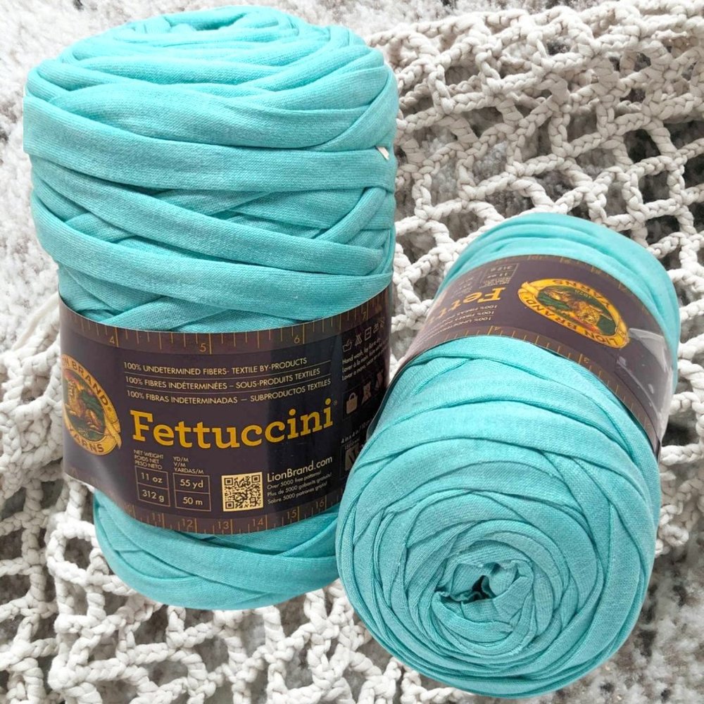 Lion Brand Fettuccini Yarn Bundle of 2 Aqua Blue  21.8oz Lot #60b